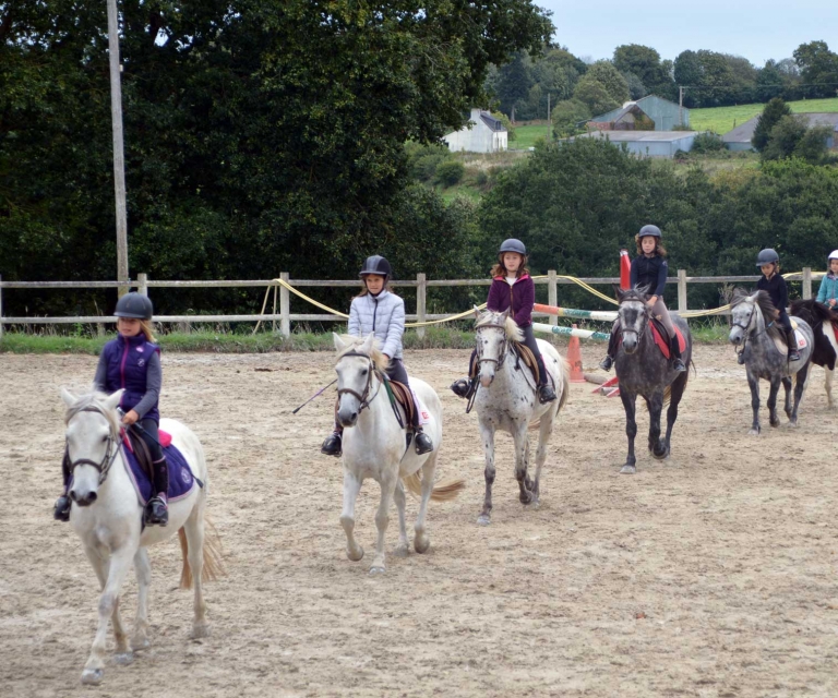 Cours equitation