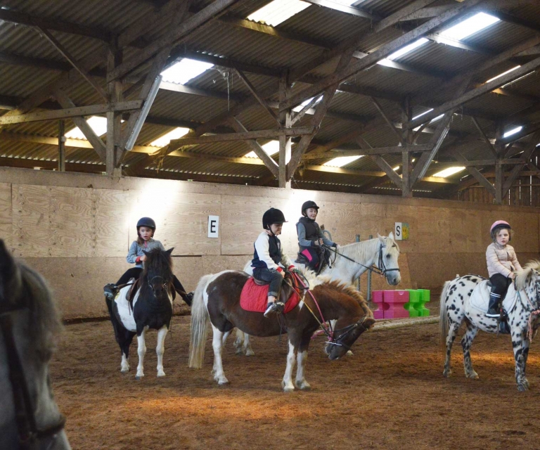 Cours equitation
