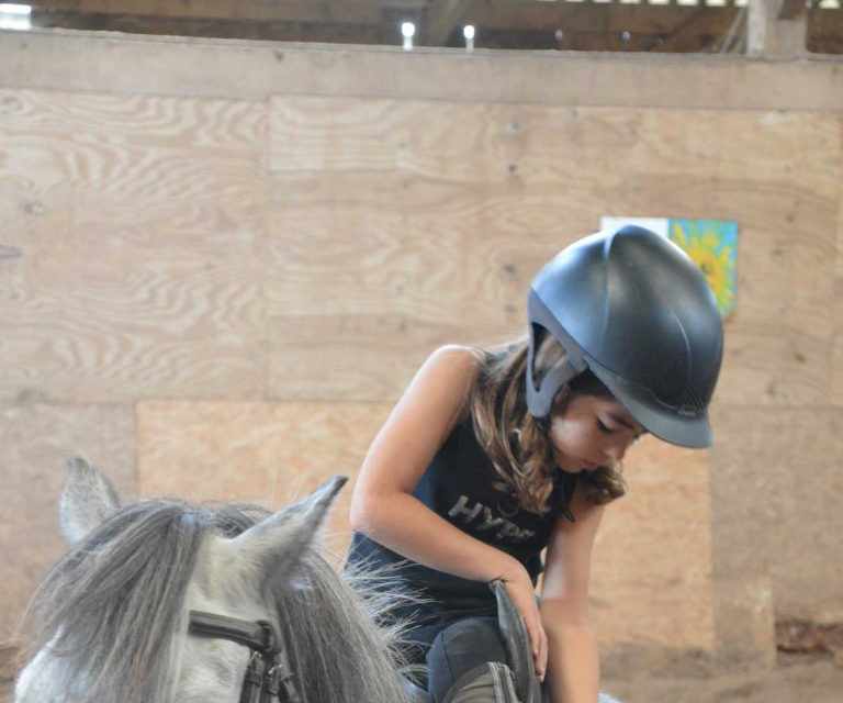 Cours equitation